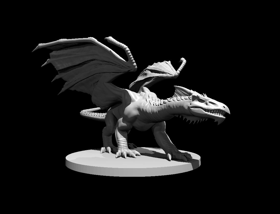 White Dragon Young Updated.JPG